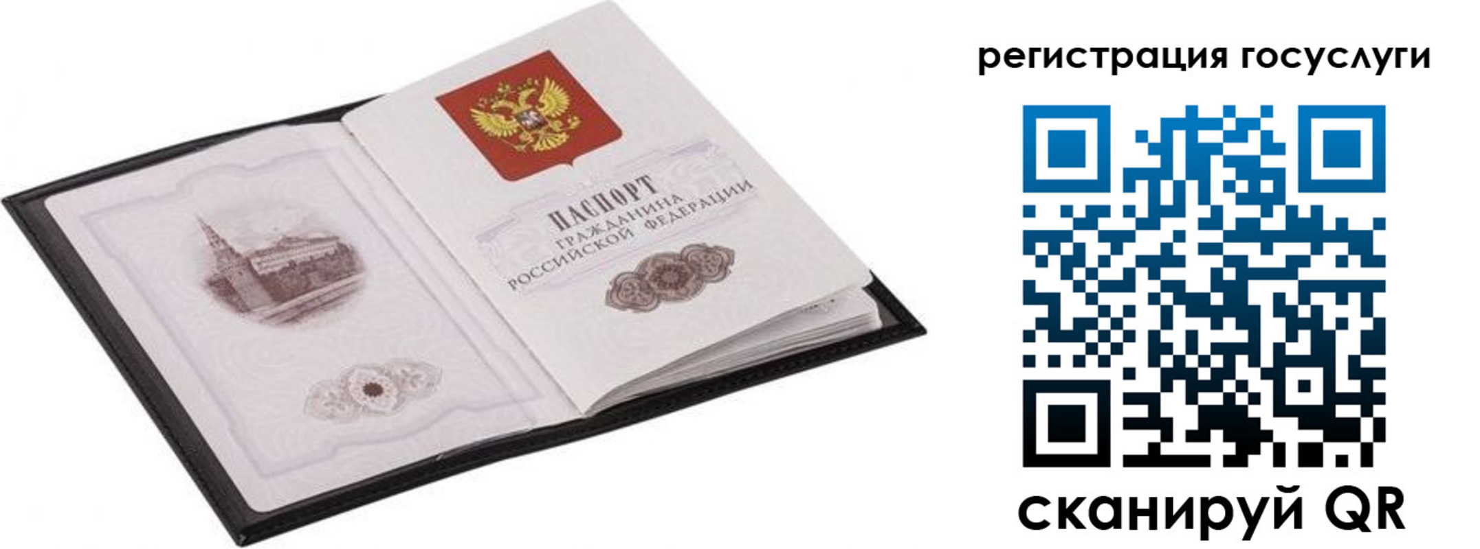 временная регистрация поиск в Чайковском